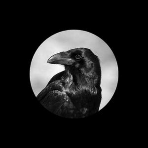 提高协作小狼导航
