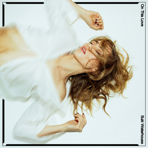 提高协作小狼导航
