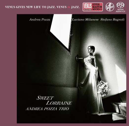 提高协作小狼导航
